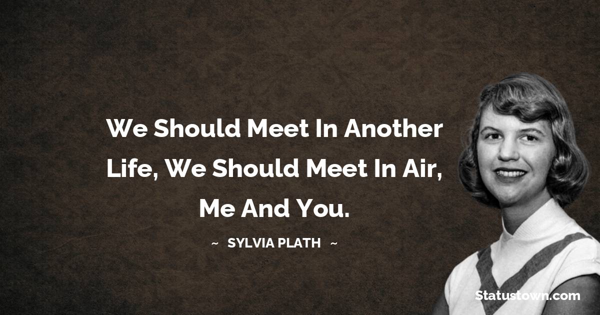 Sylvia Plath Quotes - We should meet in another life, we should meet in air, me and you.