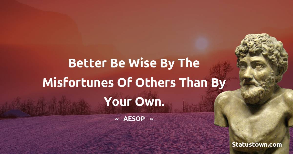 Better be wise by the misfortunes of others than by your own. - Aesop quotes
