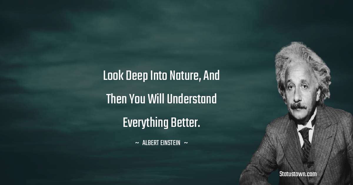 Look deep into nature, and then you will understand everything better. - Albert Einstein
 quotes