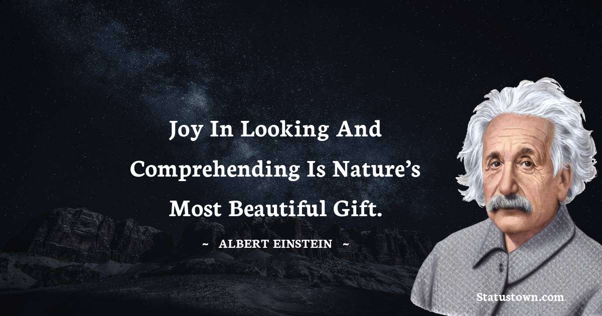 Joy in looking and comprehending is nature's most beautiful gift. - Albert  Einstein quotes