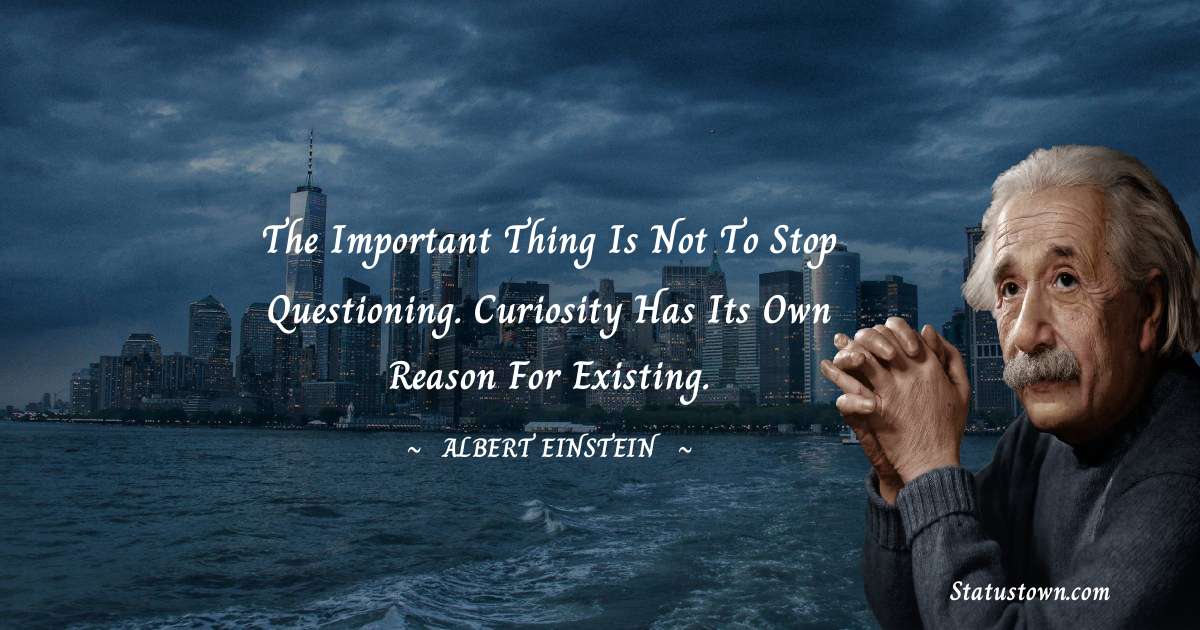 Albert Einstein
 Quotes - The important thing is not to stop questioning. Curiosity has its own reason for existing.