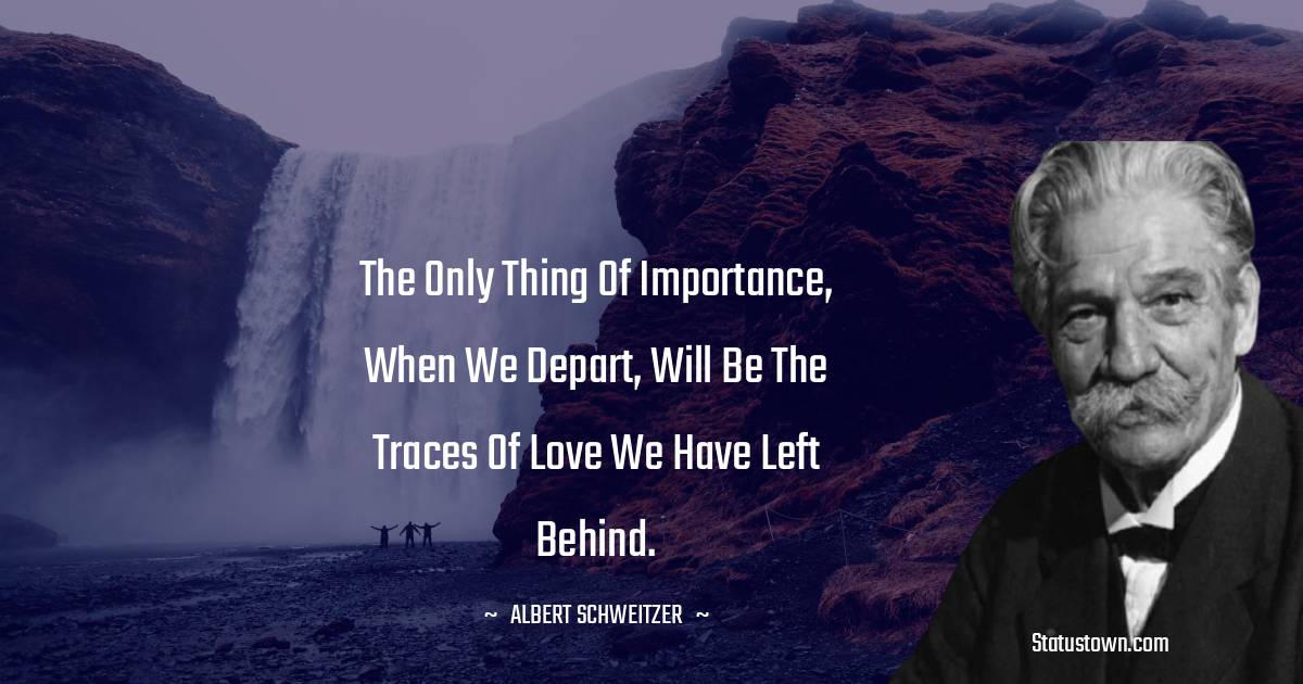 Albert Schweitzer Positive Quotes