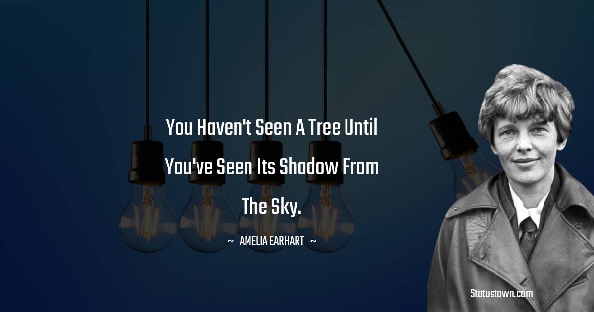 Amelia Earhart Quotes - You haven't seen a tree until you've seen its shadow from the sky.
