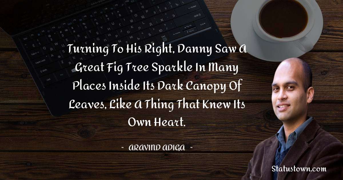 Aravind Adiga Quotes - Turning to his right, Danny saw a great fig tree sparkle in many places inside its dark canopy of leaves, like a thing that knew its own heart.
