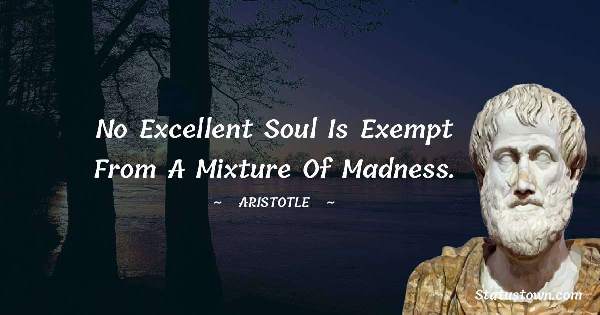 Aristotle 
 Quotes - No excellent soul is exempt from a mixture of madness.