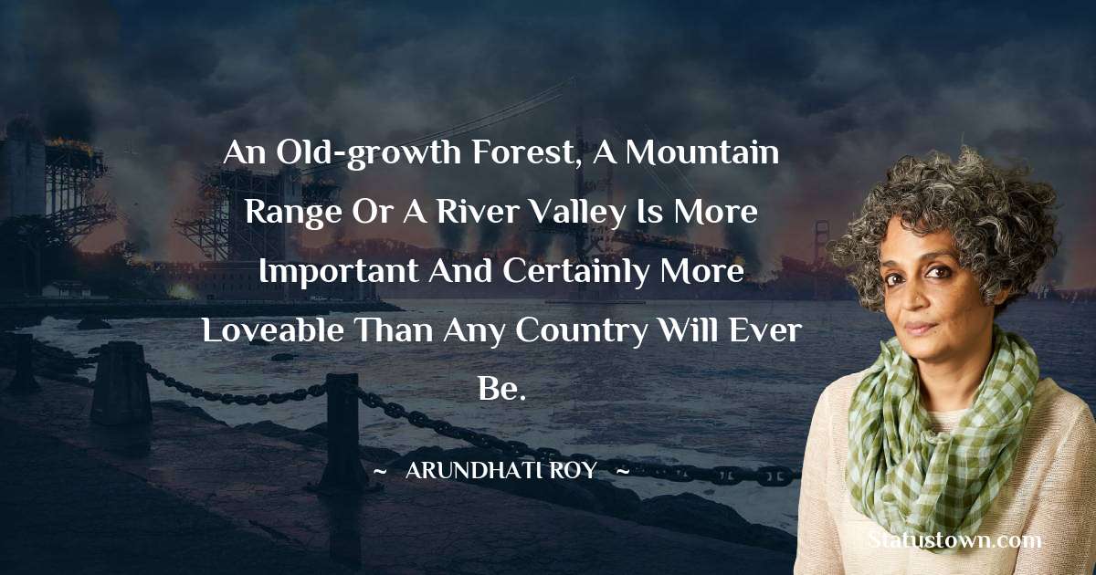 An old-growth forest, a mountain range or a river valley is more important and certainly more loveable than any country will ever be. - Arundhati Roy quotes