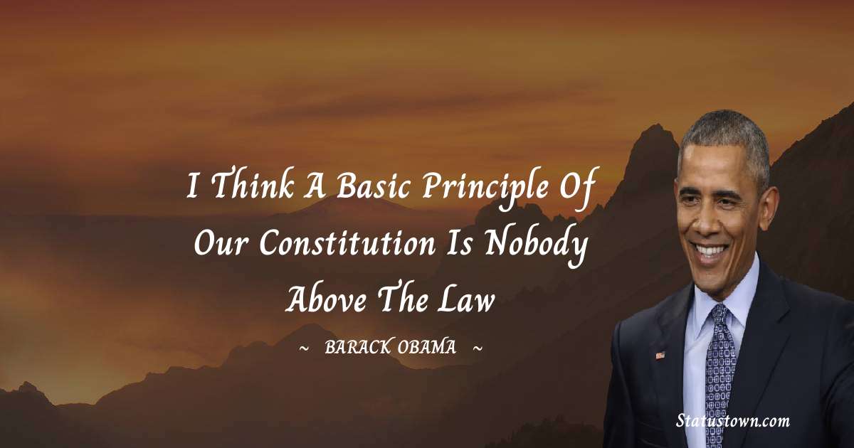 I think a basic principle of our Constitution is nobody above the law - Barack Obama quotes