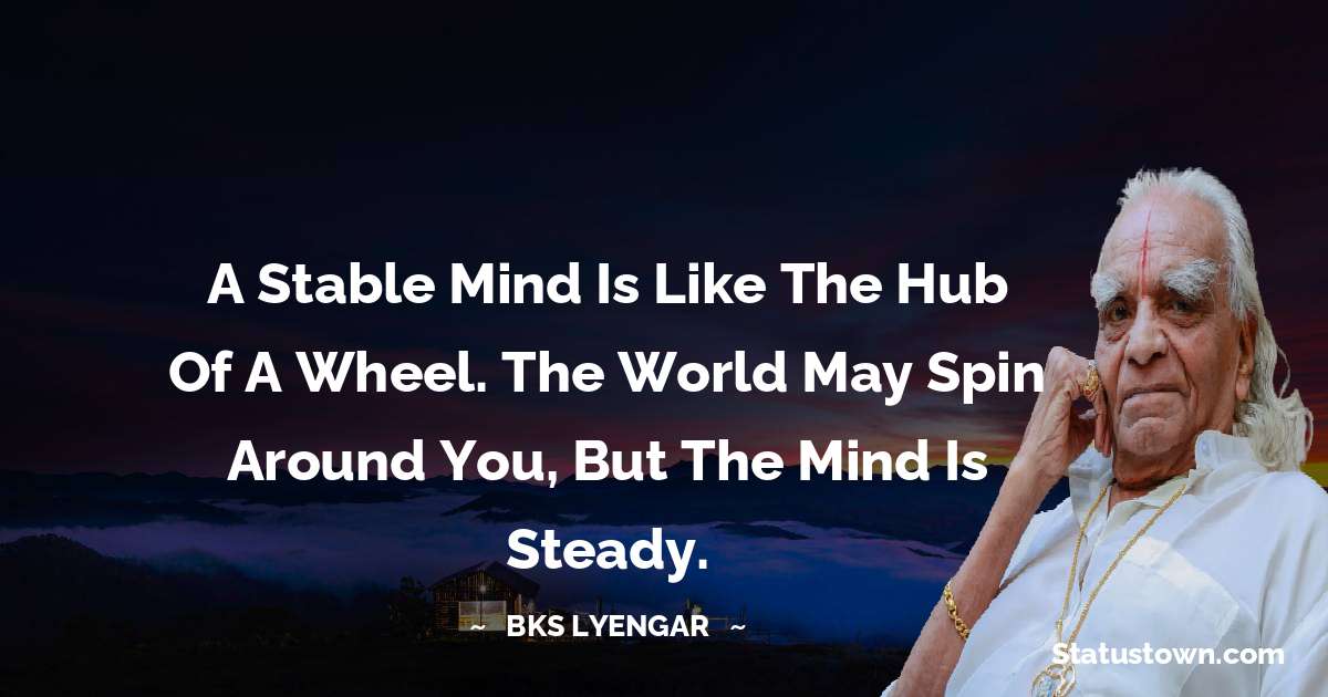 B.K.S. Iyengar Quotes - A stable mind is like the hub of a wheel. The world may spin around you, but the mind is steady.
