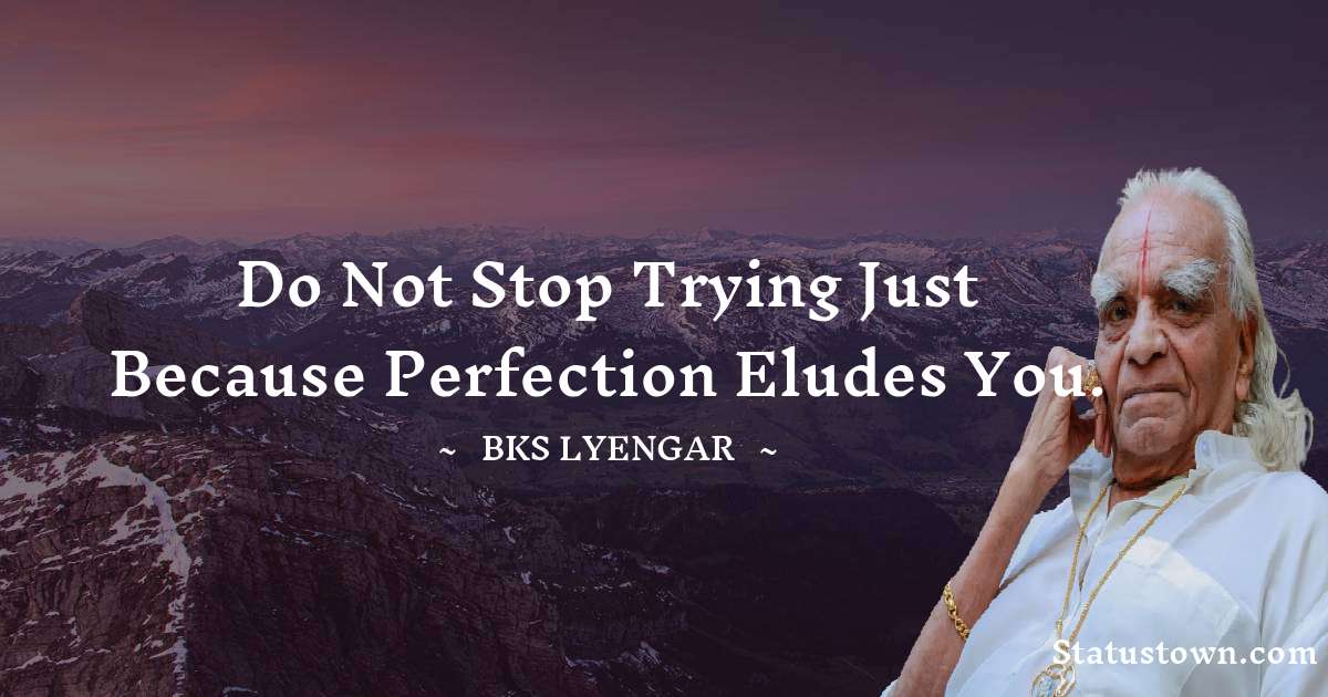 B.K.S. Iyengar Quotes - Do not stop trying just because perfection eludes you.
