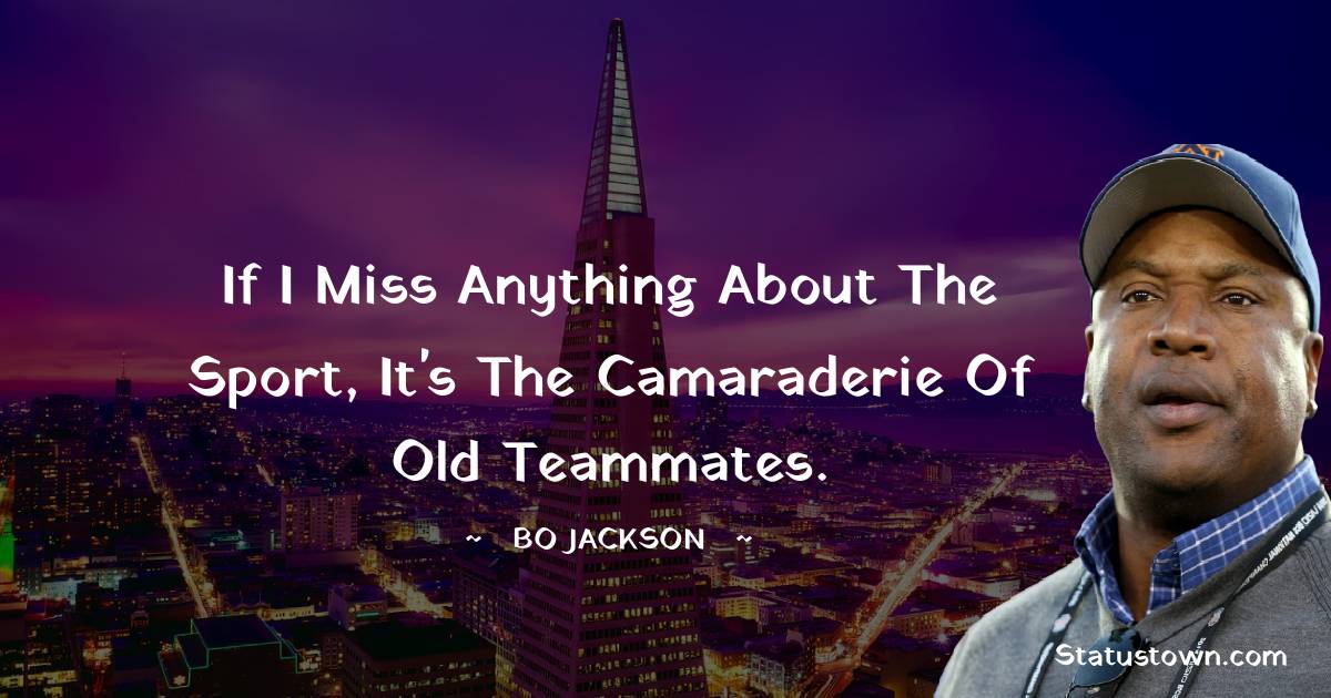 If I miss anything about the sport, it's the camaraderie of old teammates. - Bo Jackson quotes