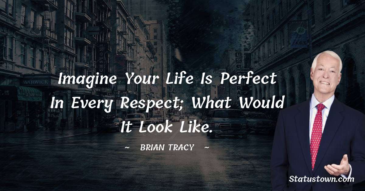 Imagine your life is perfect in every respect; what would it look like. - Brian Tracy quotes