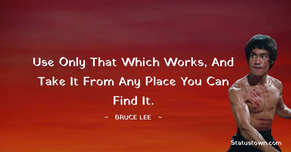 Use only that which works, and take it from any place you can find it. - Bruce Lee  quotes