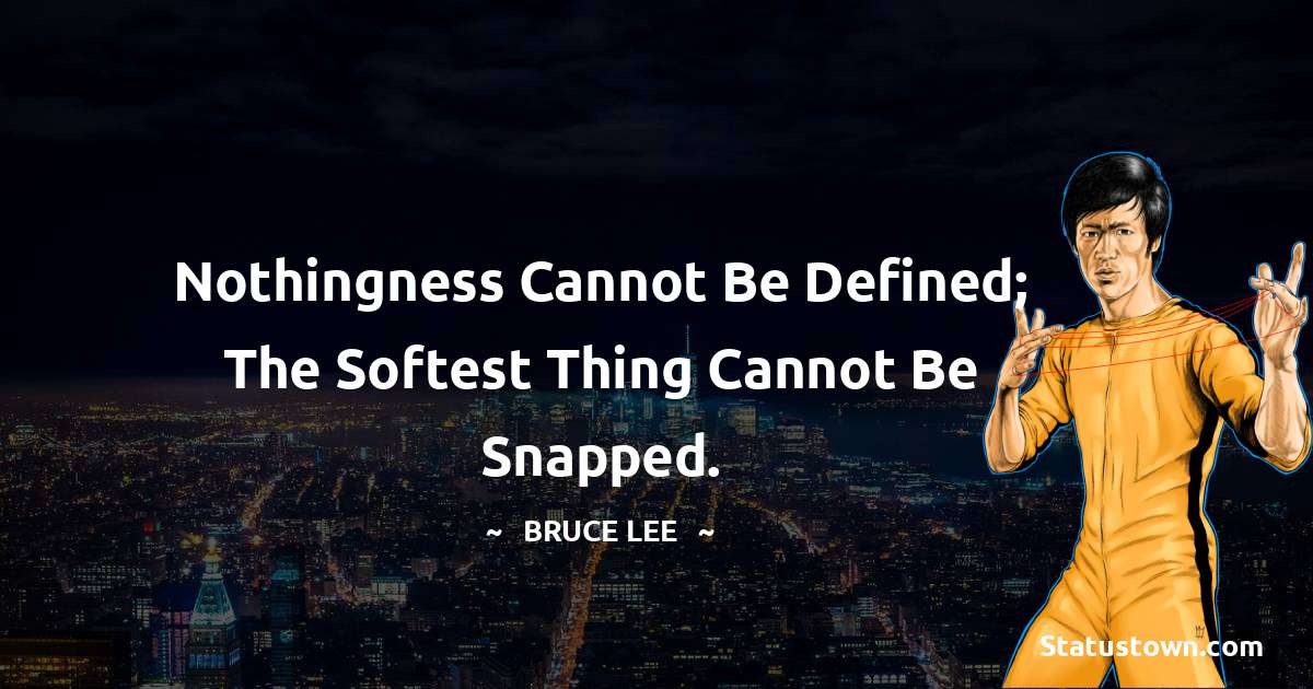 Nothingness cannot be defined; the softest thing cannot be snapped. - Bruce Lee  quotes