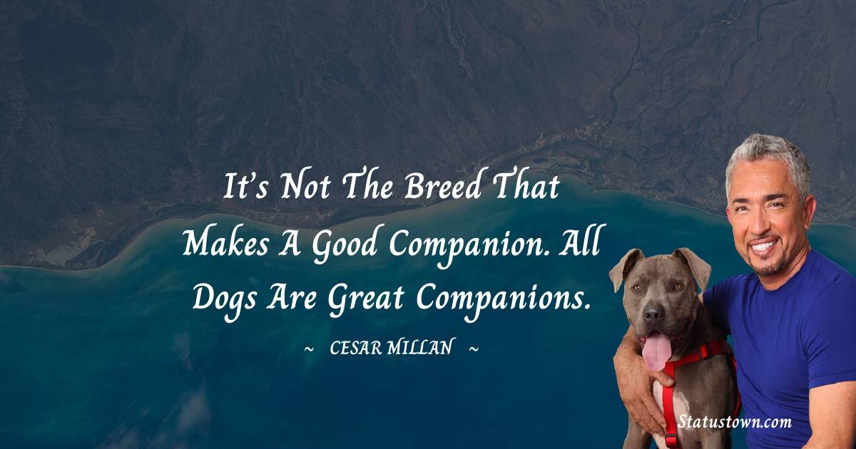 Cesar Millan Quotes - It’s not the breed that makes a good companion. All dogs are great companions.