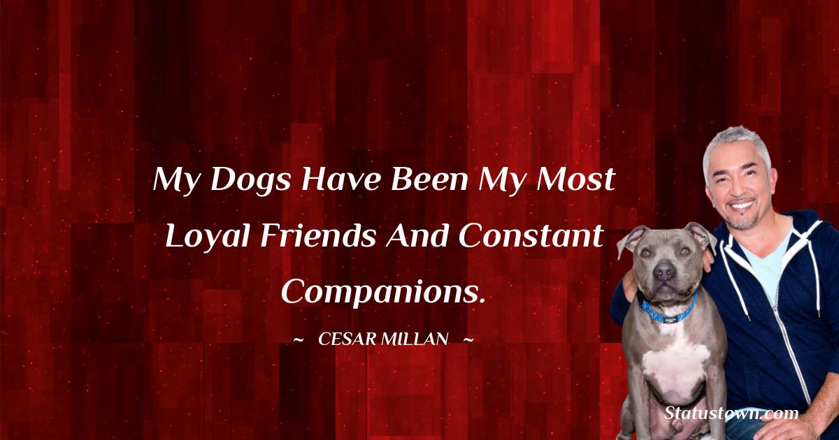 Cesar Millan Quotes - My dogs have been my most loyal friends and constant companions.