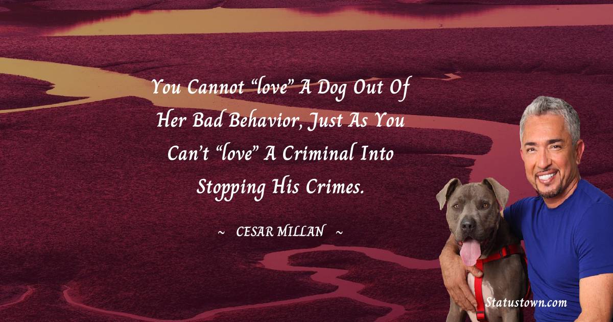 Cesar Millan Quotes - You cannot “love” a dog out of her bad behavior, just as you can’t “love” a criminal into stopping his crimes.