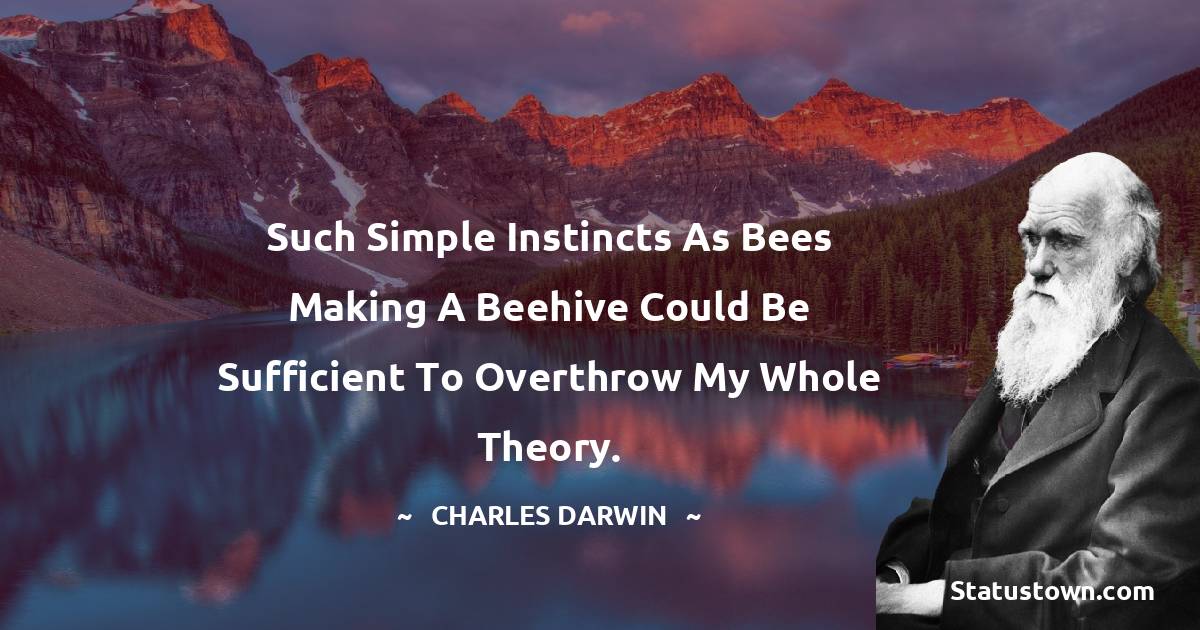Such simple instincts as bees making a beehive could be sufficient to overthrow my whole theory. - Charles Darwin quotes