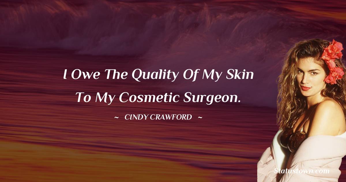 Cindy Crawford Quotes - I owe the quality of my skin to my cosmetic surgeon.