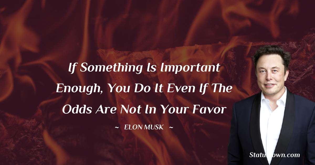Elon Musk Quotes - If something is important enough, you do it even if the odds are not in your favor