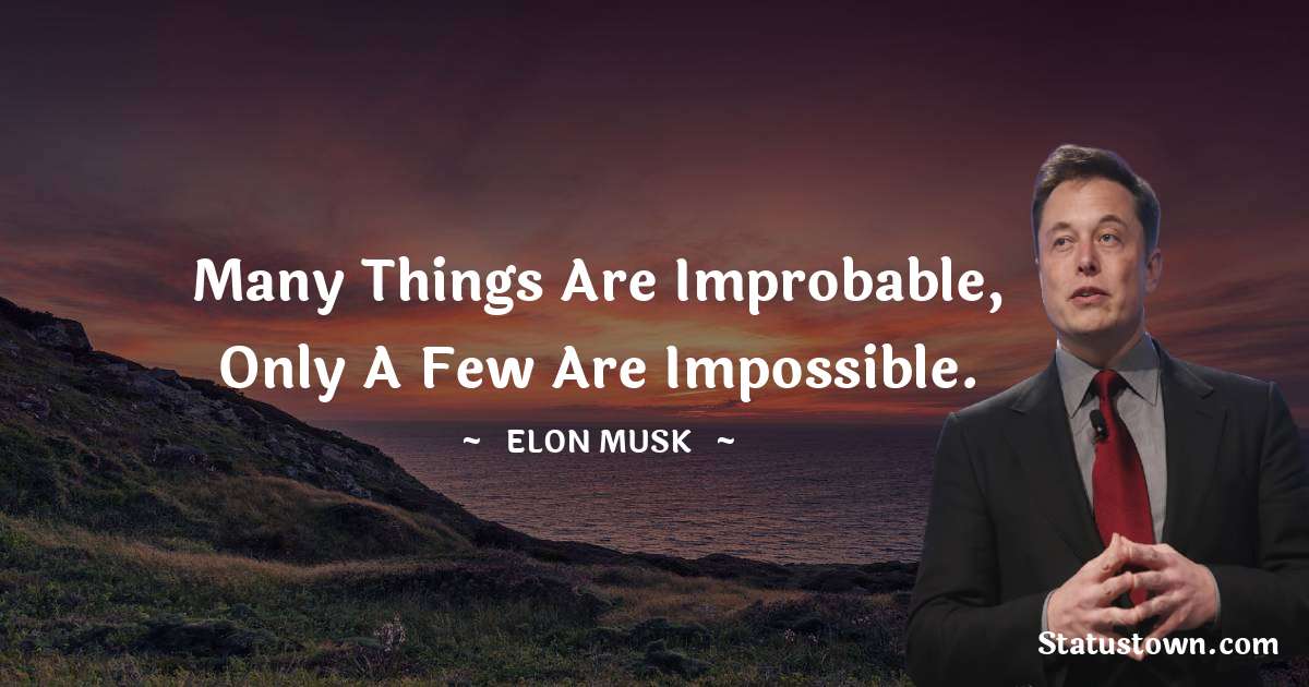 Elon Musk Quotes - Many things are improbable, only a few are impossible.