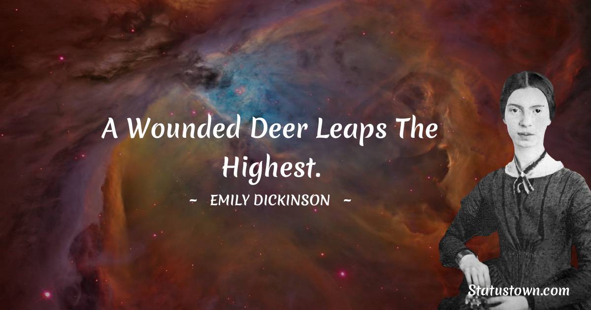 A wounded deer leaps the highest. - Emily Dickinson quotes