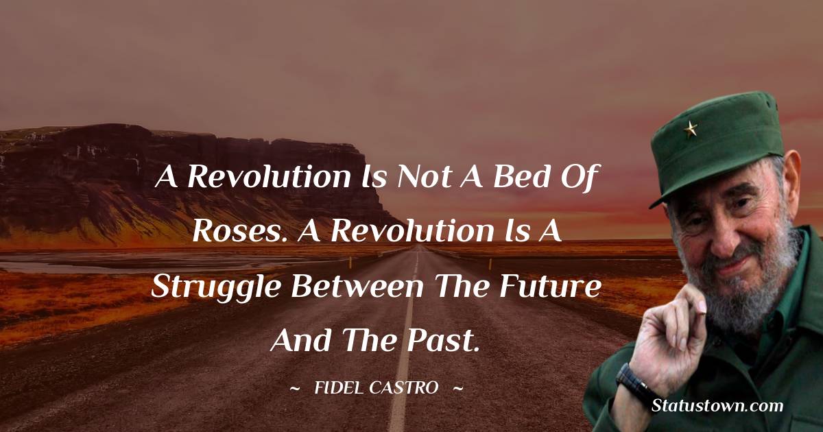 Fidel Castro Quotes - A revolution is not a bed of roses. A revolution is a struggle between the future and the past.