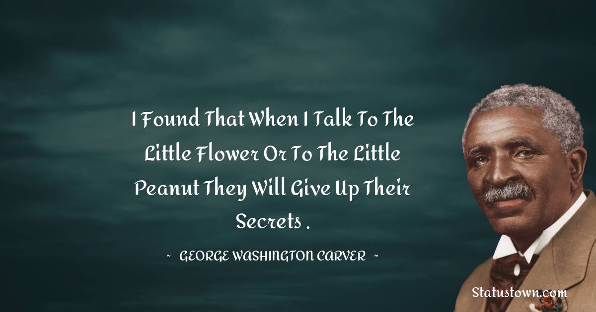 George Washington Carver Quotes - I found that when I talk to the little flower or to the little peanut they will give up their secrets .