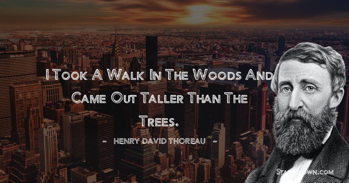 I took a walk in the woods and came out taller than the trees. - Henry David Thoreau quotes