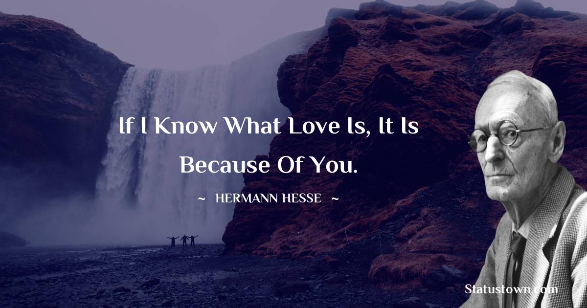 If I know what love is, it is because of you. - Hermann Hesse quotes