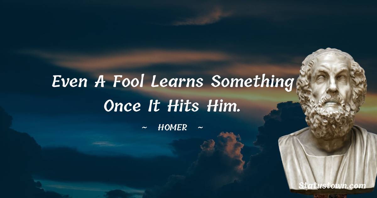 Homer Quotes - Even a fool learns something once it hits him.