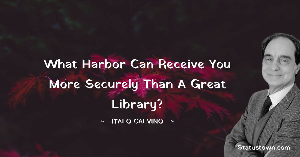 What harbor can receive you more securely than a great library? - Italo Calvino quotes