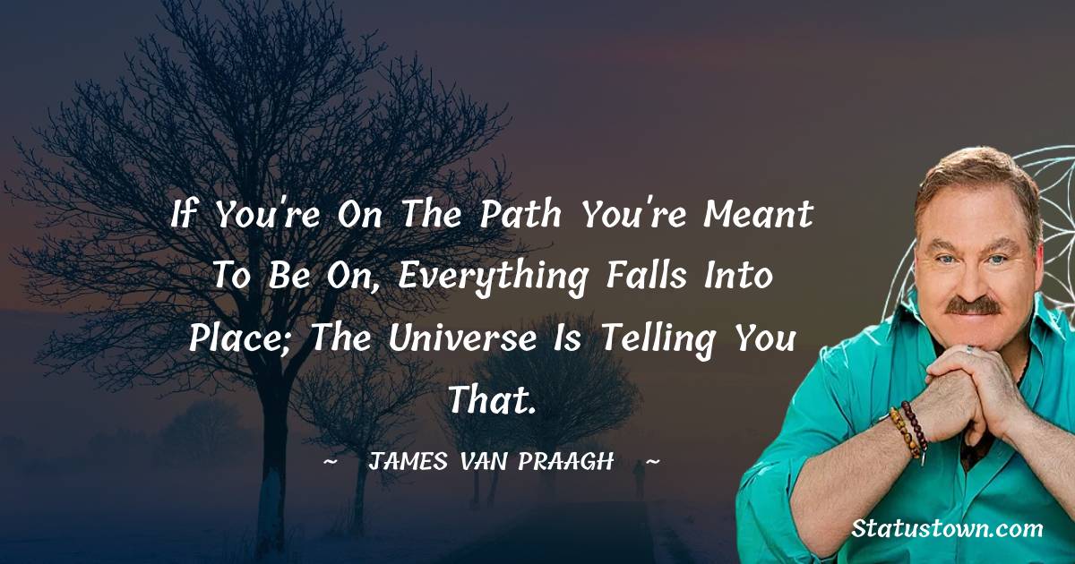 James Van Praagh Quotes - If you're on the path you're meant to be on, everything falls into place; the Universe is telling you that.