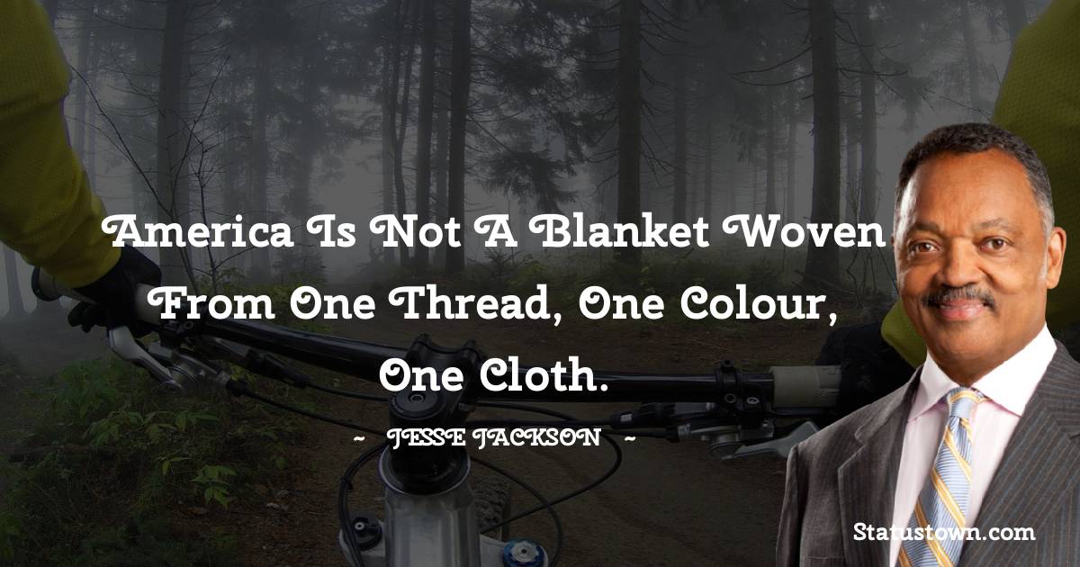 America is not a blanket woven from one thread, one colour, one cloth.