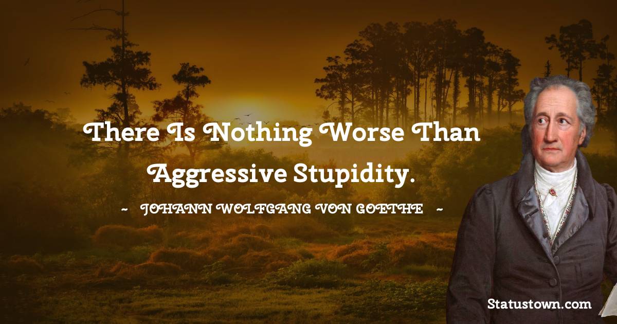 Johann Wolfgang von Goethe Quotes - There is nothing worse than aggressive stupidity.