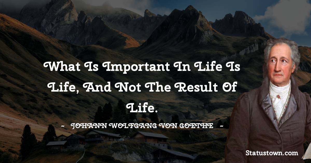 Johann Wolfgang von Goethe Quotes - What is important in life is life, and not the result of life.