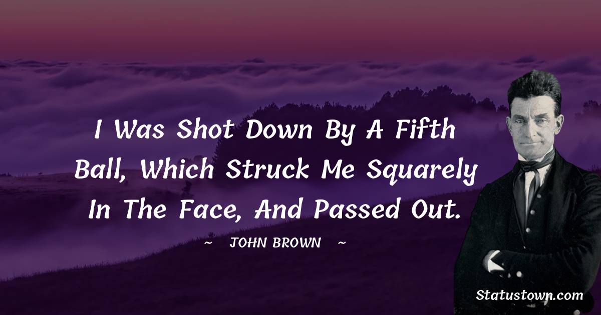 I was shot down by a fifth ball, which struck me squarely in the face, and passed out. - John Brown quotes