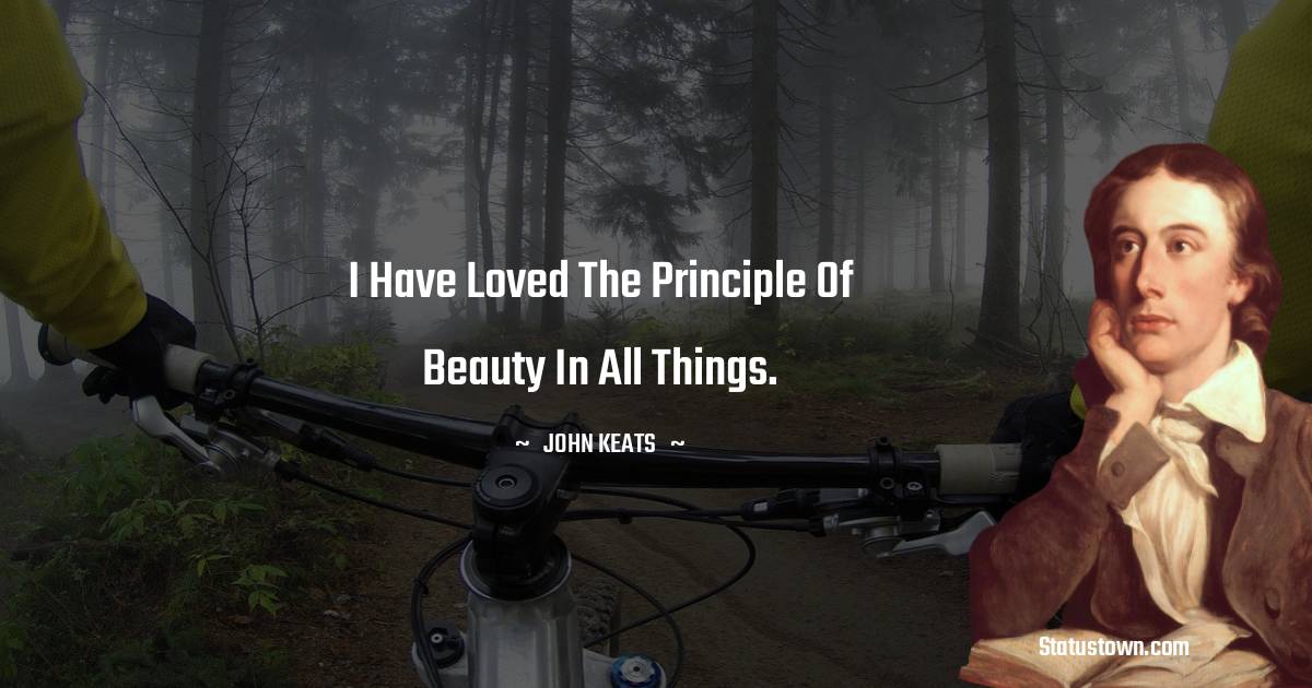John Keats Quotes - I have loved the principle of beauty in all things.