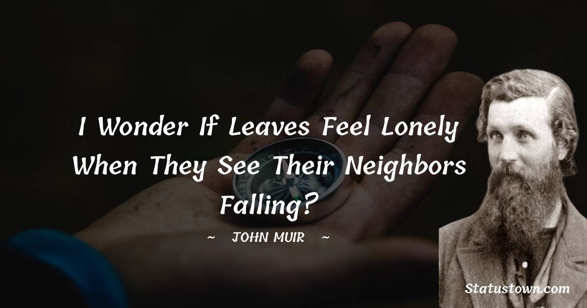 I wonder if leaves feel lonely when they see their neighbors falling? - John Muir quotes