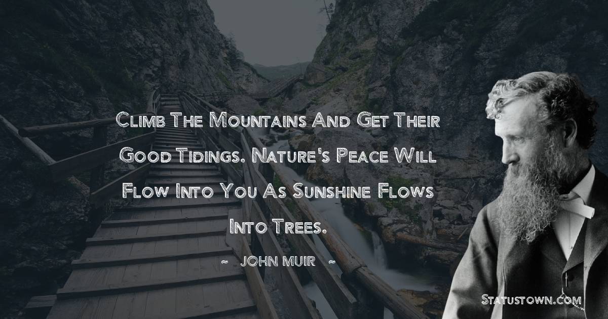 Climb the mountains and get their good tidings. Nature's peace will flow into you as sunshine flows into trees. - John Muir quotes