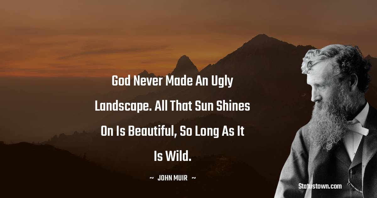 God never made an ugly landscape. All that sun shines on is beautiful, so long as it is wild. - John Muir quotes