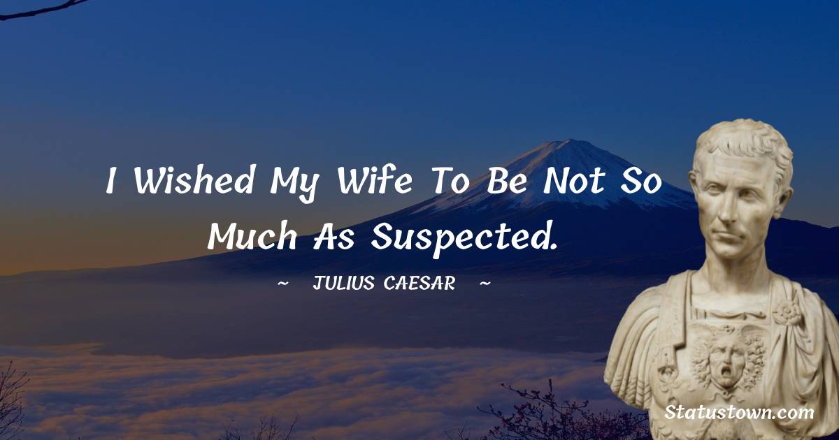 I wished my wife to be not so much as suspected. - Julius Caesar quotes