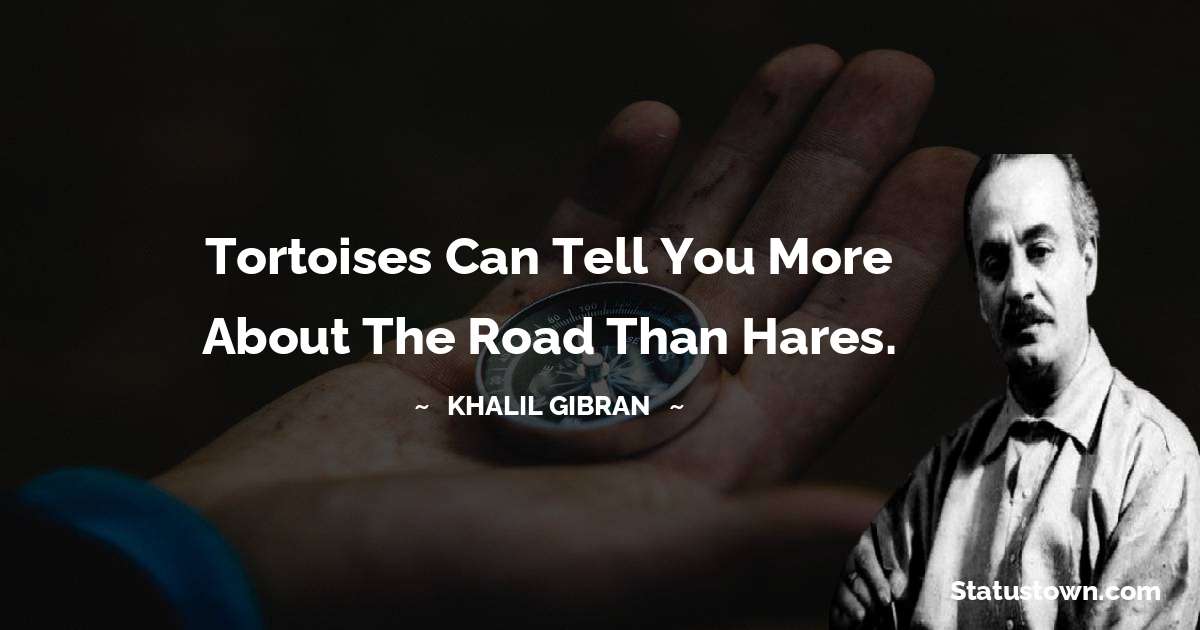 Khalil Gibran Quotes - Tortoises can tell you more about the road than hares.