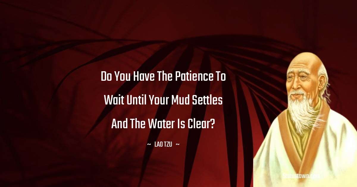 Do you have the patience to wait until your mud settles and the water is clear? - Lao Tzu quotes