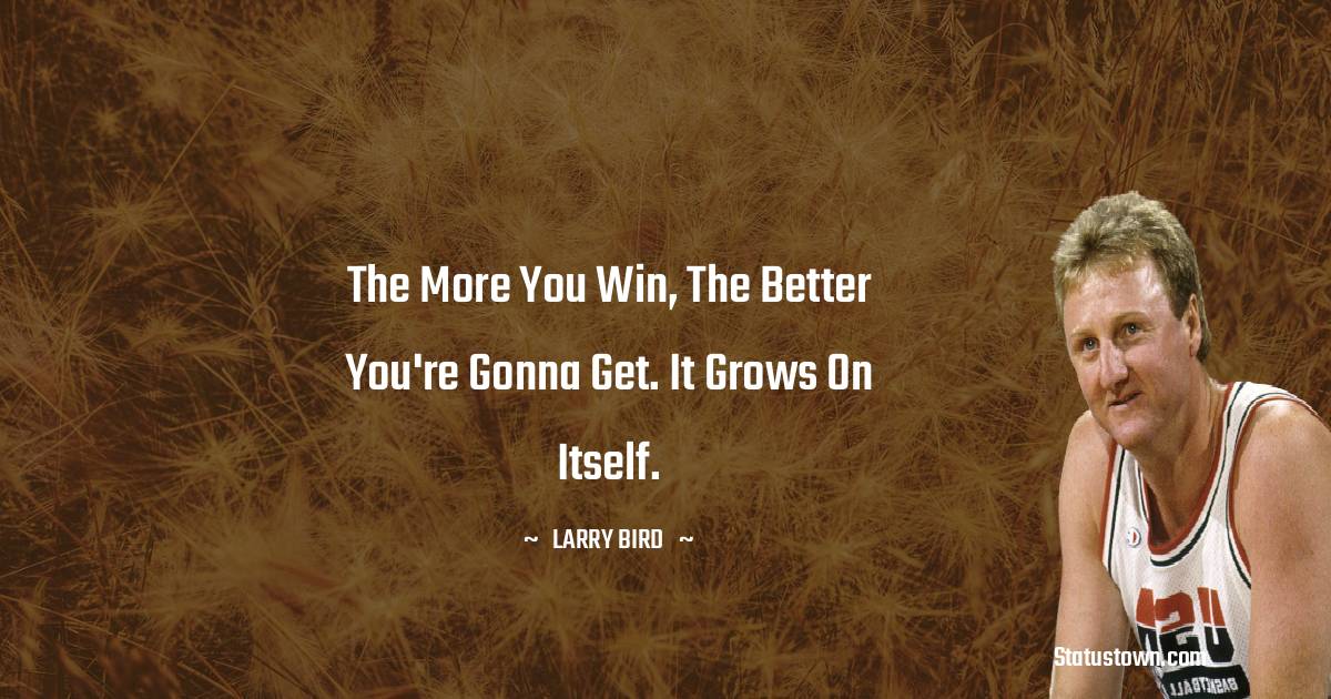 Short Larry Bird Quotes