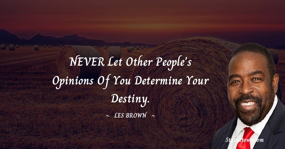 NEVER let other people's opinions of you determine your destiny. - Les Brown quotes