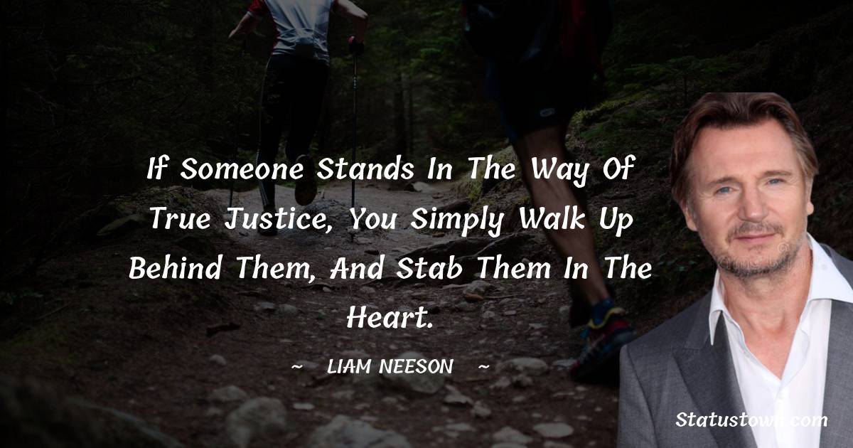 Liam Neeson Quotes - If someone stands in the way of true justice, you simply walk up behind them, and stab them in the heart.
