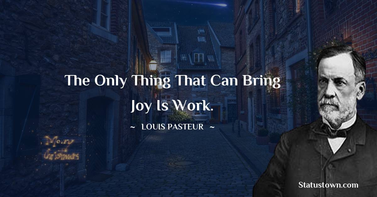Louis Pasteur Quotes - The only thing that can bring joy is work.