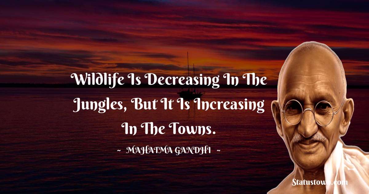 Mahatma Gandhi Quotes - Wildlife is decreasing in the jungles, but it is increasing in the towns.