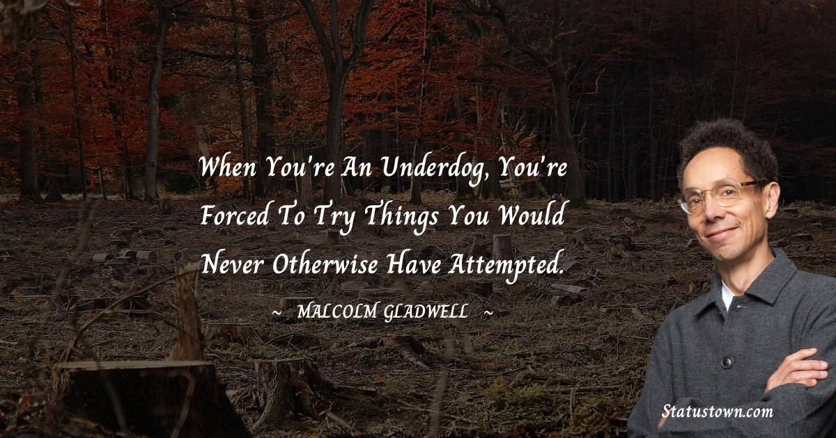 Malcolm Gladwell Quotes - When you're an underdog, you're forced to try things you would never otherwise have attempted.