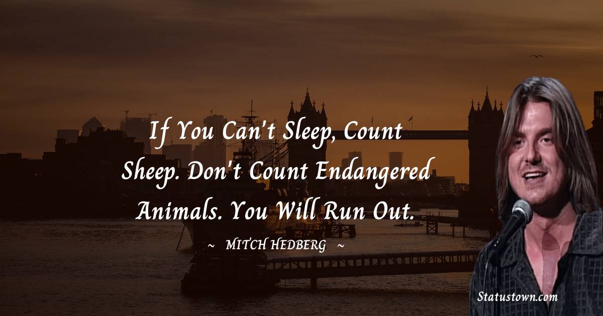 Simple Mitch Hedberg Quotes